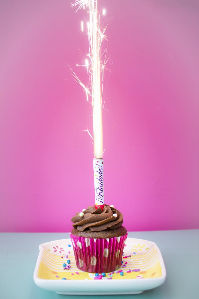 birthday Cupcake with Chocolate Icing and Sparkler